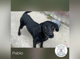 Pablo: Sucht seinen sicheren Hafen