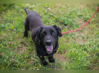Chip 255190 sucht ein Zuhause