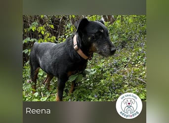 Reena: Neustart! Los geht’s!