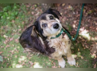 Paula sucht ein Zuhause