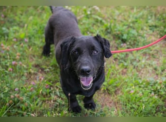Chip 255190 sucht ein Zuhause