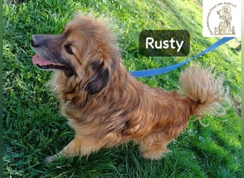 Rusty – Profi im Glücklichsein!