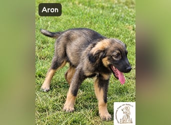 Aron – bereit für sein großes Abenteuer!