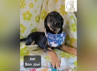 Jon Bon Jovi – voller Flausen, voller Leben!