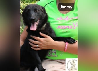 Jimmy – Aufgeben? Kam für ihn nie infrage!