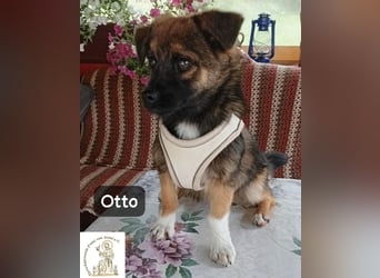 Otto – Das Beste beginnt oft mit einem kleinen Abenteuer!