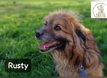 Rusty – Profi im Glücklichsein!