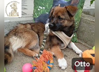 Otto – Das Beste beginnt oft mit einem kleinen Abenteuer!