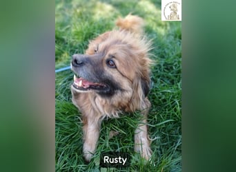 Rusty – Profi im Glücklichsein!