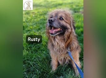Rusty – Profi im Glücklichsein!