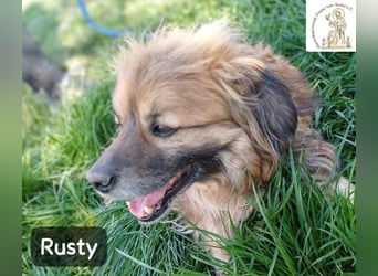 Rusty – Profi im Glücklichsein!