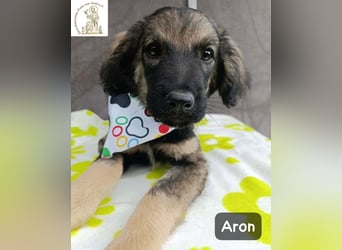 Aron – bereit für sein großes Abenteuer!