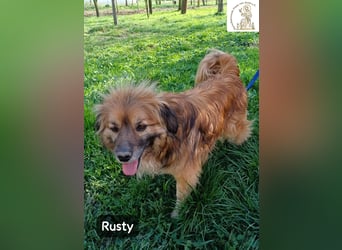 Rusty – Profi im Glücklichsein!