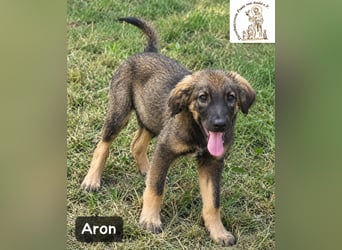 Aron – bereit für sein großes Abenteuer!