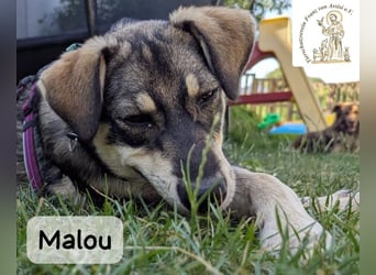 Malou – groß werden kann jeder. Großartig werden wir gemeinsam!