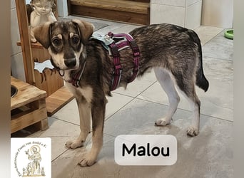 Malou – groß werden kann jeder. Großartig werden wir gemeinsam!