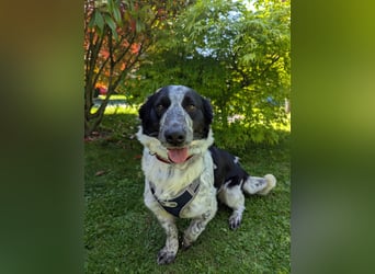 Karolina – bereit, wenn du es bist!
