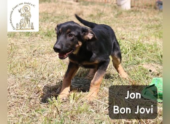 Jon Bon Jovi – voller Flausen, voller Leben!