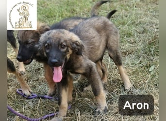 Aron – bereit für sein großes Abenteuer!