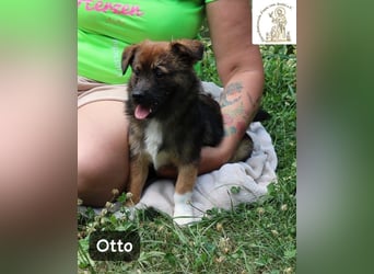 Otto – Das Beste beginnt oft mit einem kleinen Abenteuer!