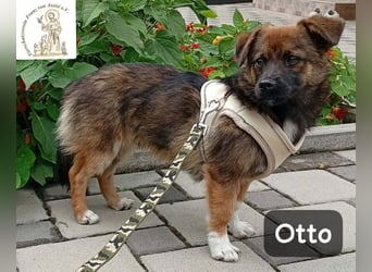 Otto – Das Beste beginnt oft mit einem kleinen Abenteuer!