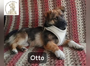Otto – Das Beste beginnt oft mit einem kleinen Abenteuer!