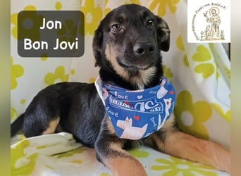 Jon Bon Jovi – voller Flausen, voller Leben!