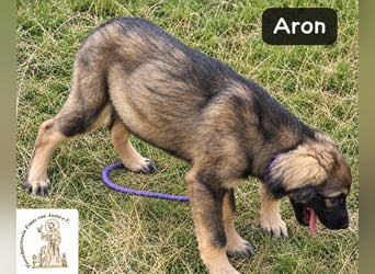 Aron – bereit für sein großes Abenteuer!