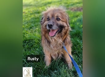 Rusty – Profi im Glücklichsein!