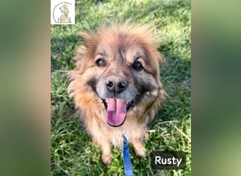 Rusty – Profi im Glücklichsein!