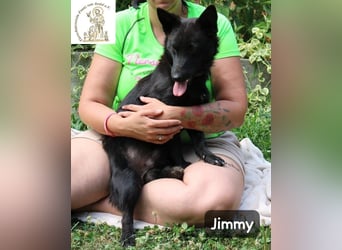 Jimmy – Aufgeben? Kam für ihn nie infrage!
