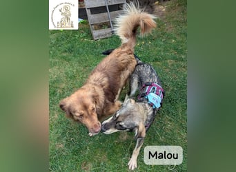 Malou – groß werden kann jeder. Großartig werden wir gemeinsam!