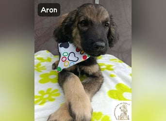 Aron – bereit für sein großes Abenteuer!