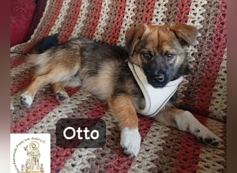 Otto – Das Beste beginnt oft mit einem kleinen Abenteuer!