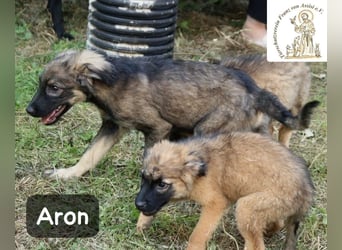 Aron – bereit für sein großes Abenteuer!