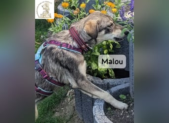 Malou – groß werden kann jeder. Großartig werden wir gemeinsam!