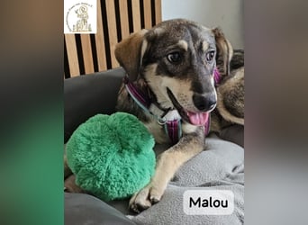Malou – groß werden kann jeder. Großartig werden wir gemeinsam!