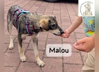Malou – groß werden kann jeder. Großartig werden wir gemeinsam!