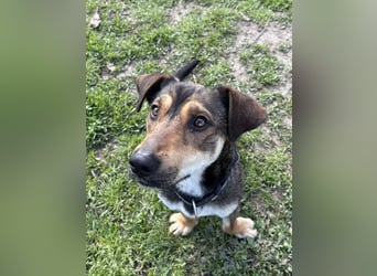 Hübscher Fiete sucht seine Familie