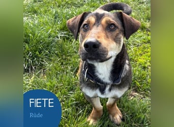 Hübscher Fiete sucht seine Familie