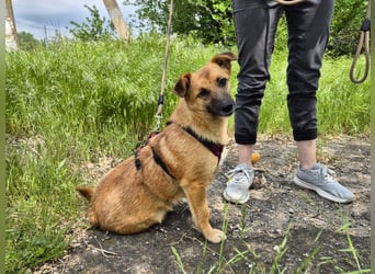 Süße Candy sucht ein Zuhause
