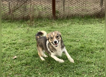 Süße Feli sucht liebe Menschen