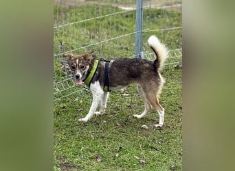 Süße Feli sucht liebe Menschen