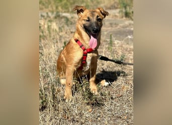 Süße Candy sucht ein Zuhause