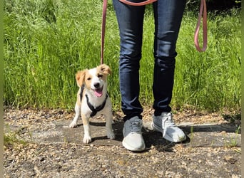 Kleine Laura sucht großes Glück