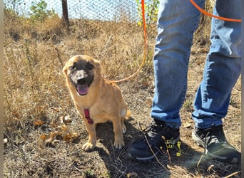 Süße Candy sucht ein Zuhause