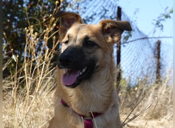 Süße Candy sucht ein Zuhause