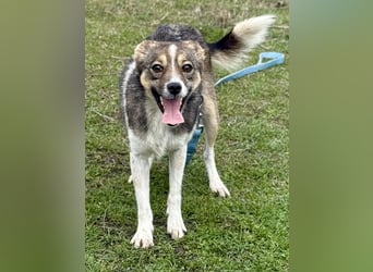 Süße Feli sucht liebe Menschen