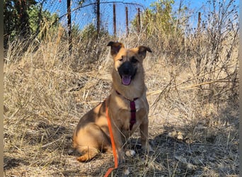 Süße Candy sucht ein Zuhause