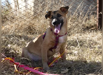 Süße Candy sucht ein Zuhause